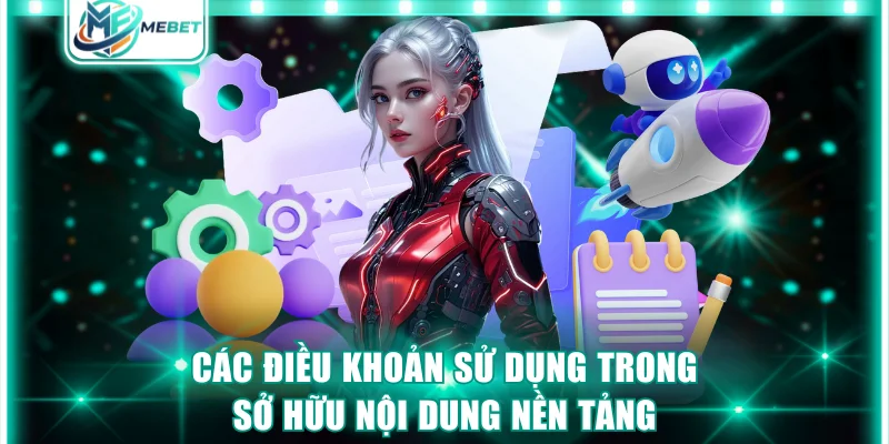 Các điều khoản sử dụng trong sở hữu nội dung nền tảng