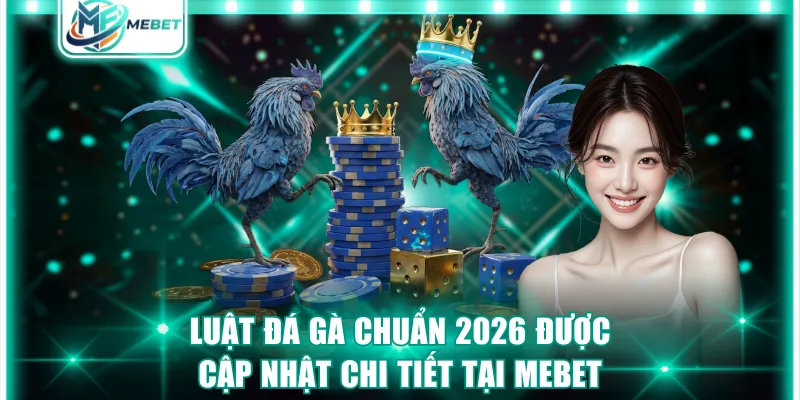 luật đá gà