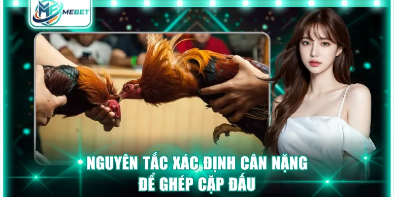 Nguyên tắc xác định cân nặng để ghép cặp đấu
