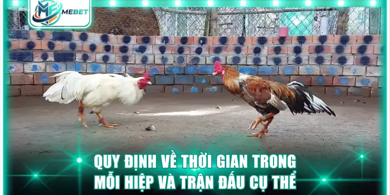 Quy định về thời gian trong mỗi hiệp và trận đấu cụ thể